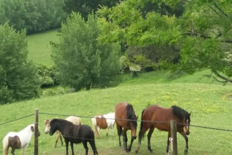 Photo of property in 44 Slater Road, Ruawaro, Huntly, 3772