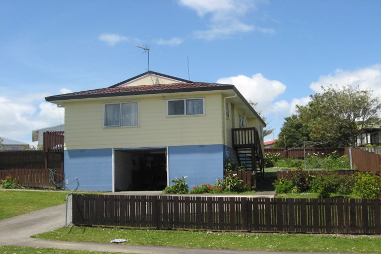 Photo of property in 49 Maplesden Drive, Clendon Park, Auckland, 2103