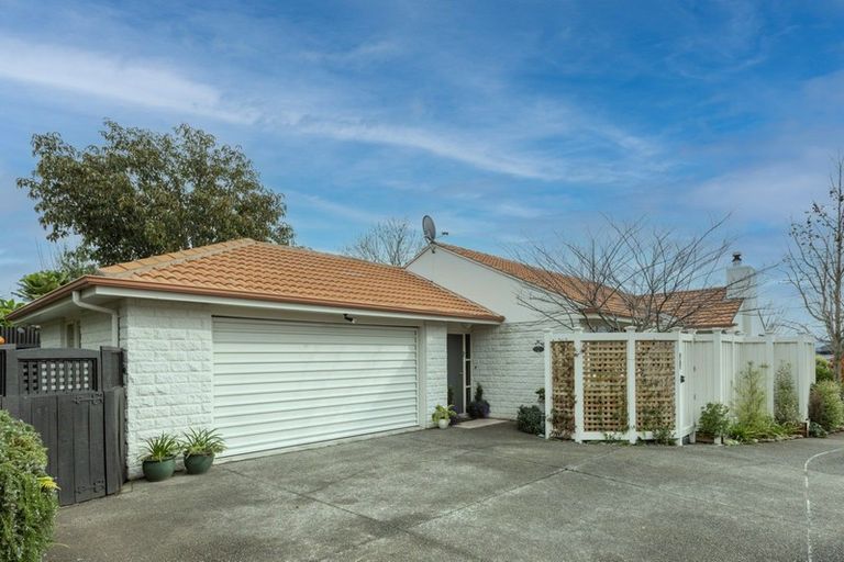 Photo of property in 8a Mchardy Street, Havelock North, 4130