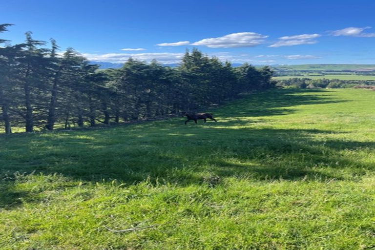 Photo of property in 1 Kellaway Terrace, Waikari, 7420