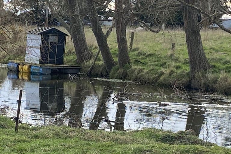 Photo of property in 236 Biggs Road, Richmond, Oamaru, 9493