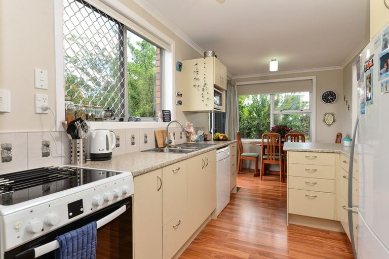 Photo of property in 12 Patrick Place, Fitzroy, Hamilton, 3206