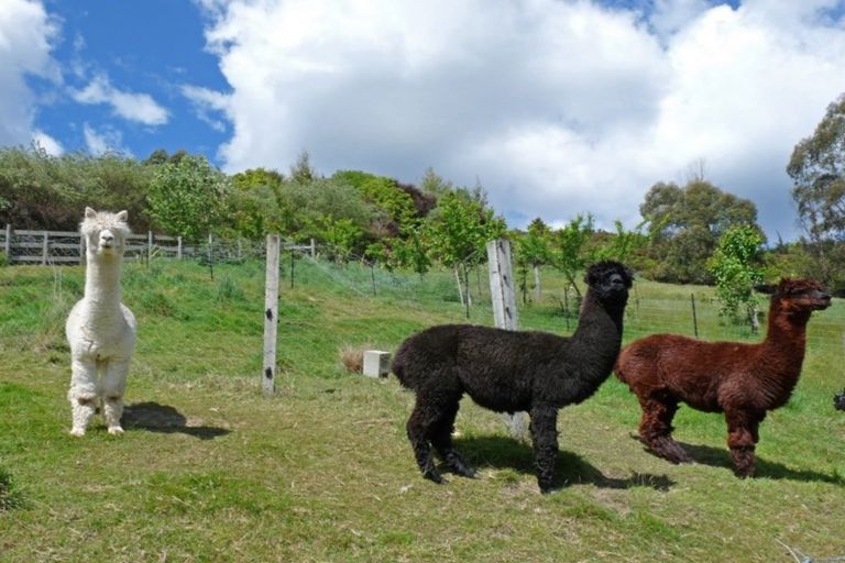 Photo of property in 8 Hooper Place, Wakefield, 7025