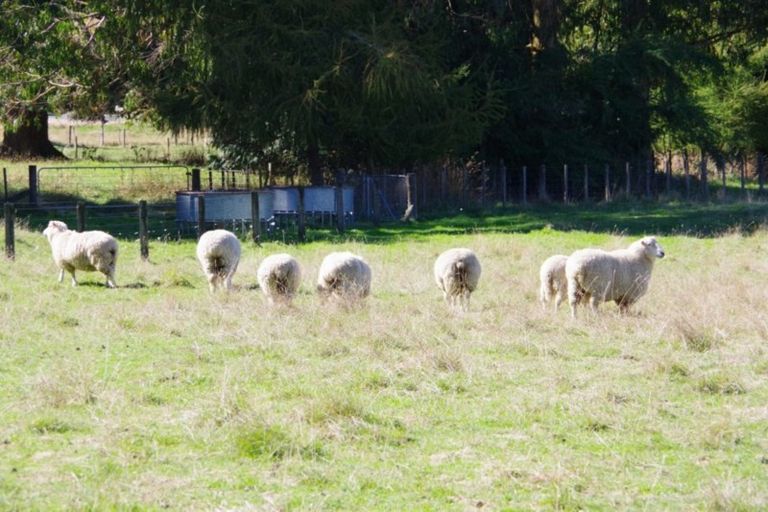 Photo of property in 36 Hurunui Lane, Kinloch, Taupo, 3377