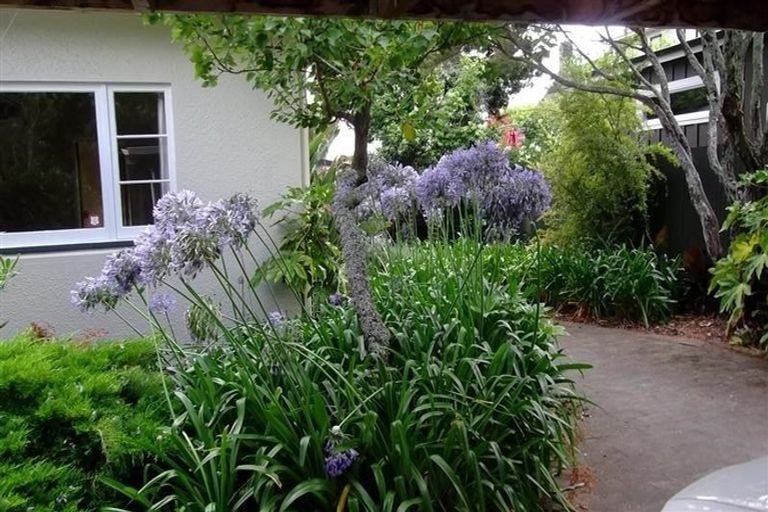 Photo of property in 35 Campbell Street, Havelock North, 4130