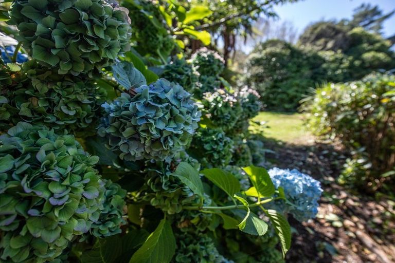 Photo of property in 29 Stafford Road, Awatuna, Hokitika, 7882