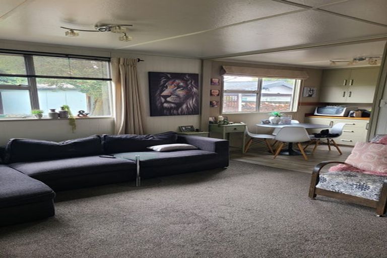 Photo of property in 29 Hopkins Road, Twizel, 7901