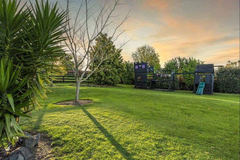 Photo of property in 233 Ross Road, Whakamarama, Tauranga, 3179