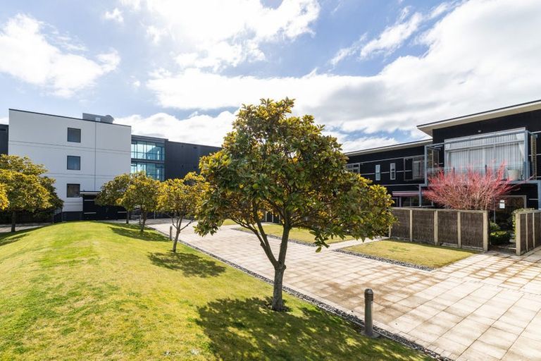 Photo of property in The Terraces, 31/9 Humber Street, Pandora, Napier, 4110