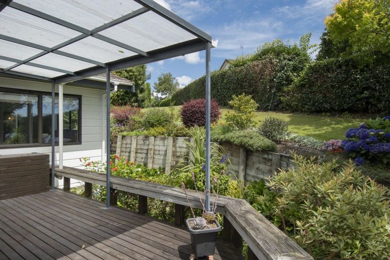 Photo of property in 221 Plummers Point Road, Whakamarama, Tauranga, 3172
