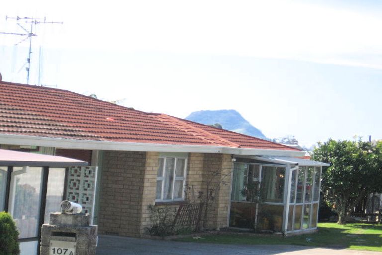 Photo of property in 107b Laurence Street North, Gate Pa, Tauranga, 3112
