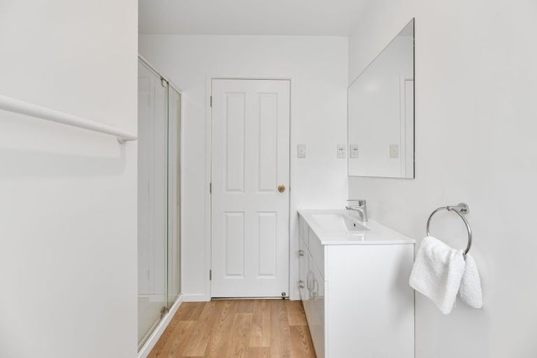 Photo of property in 55a Marion Avenue, Mount Roskill, Auckland, 1041