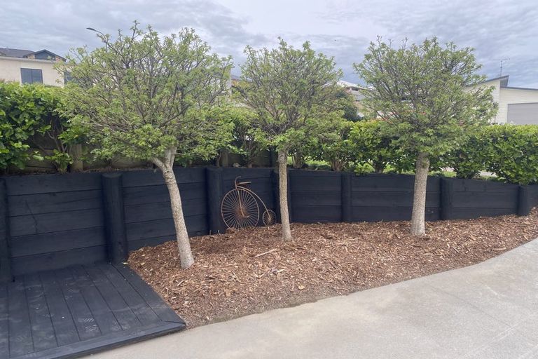 Photo of property in 115 Rosehearty Place, Te Awamutu, 3800