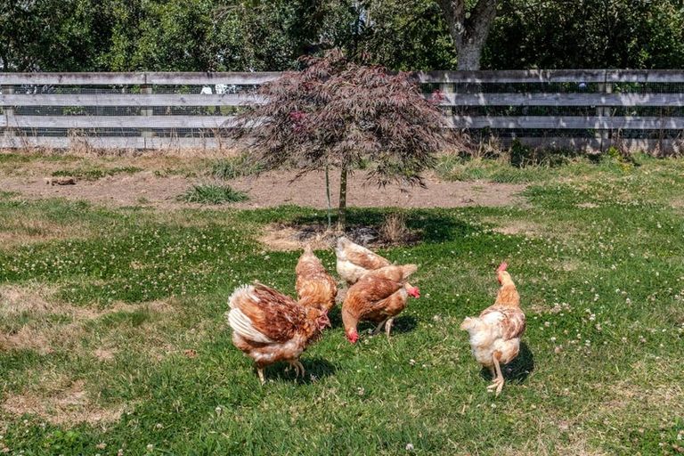 Photo of property in 681 Beechey Street, Pirongia, 3802