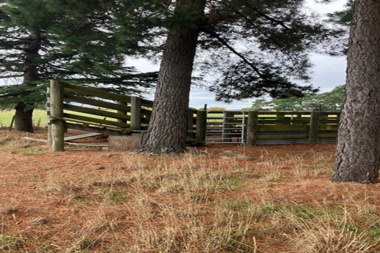 Photo of property in 126 Norfolk Road, Waingawa, Carterton, 5791