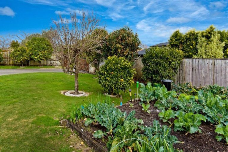 Photo of property in 50 Rame Road, Greenhithe, Auckland, 0632