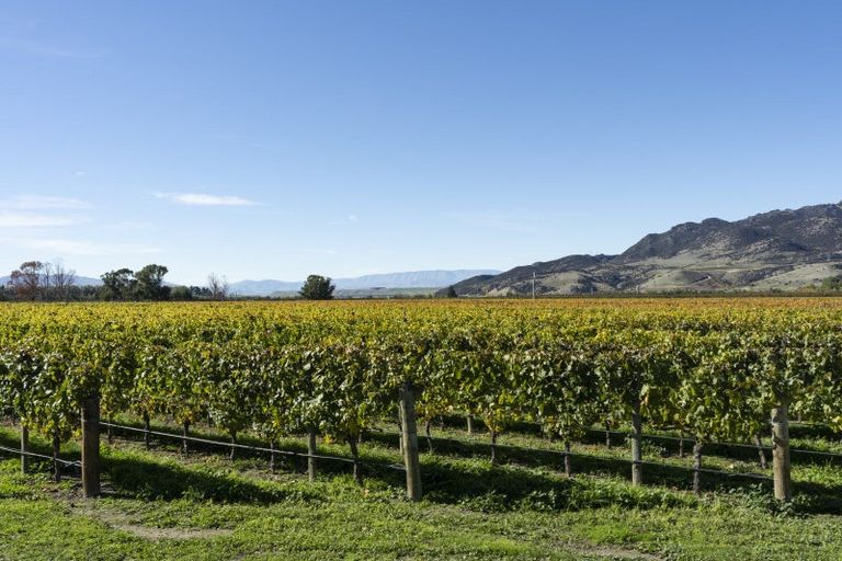 Photo of property in 1034 Luggate-cromwell Road, Mount Pisa, Cromwell, 9383