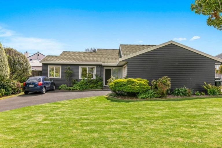 Photo of property in 97 Sixteenth Avenue, Tauranga South, Tauranga, 3112