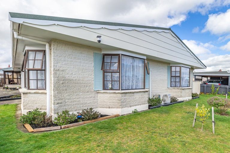 Photo of property in 102 Winchester Street, Levin, 5510