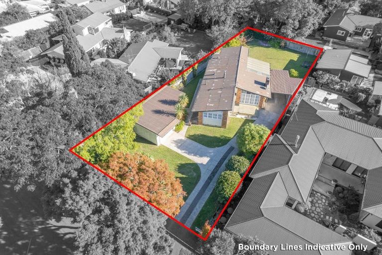 Photo of property in 39 Queenwood Avenue, Queenwood, Hamilton, 3210