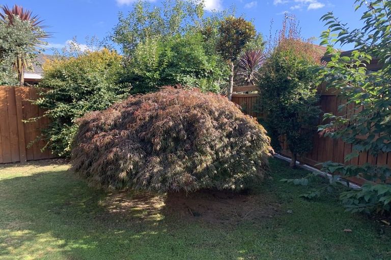 Photo of property in Leamington Mews, 37b Raleigh Street, Leamington, Cambridge, 3432