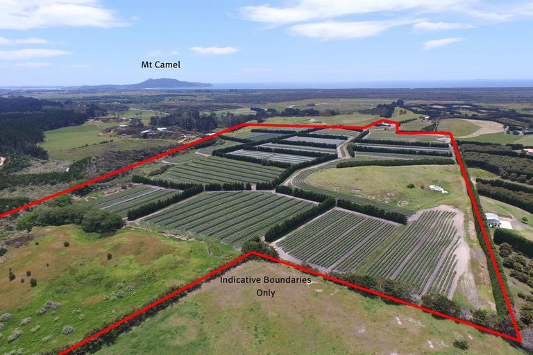 Photo of property in 3167 State Highway 1, Pukenui, Kaitaia, 0484