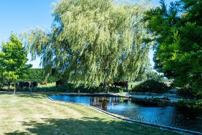 Photo of property in 170 Tinwald Westerfield Mayfield Road, Tinwald, Ashburton, 7771