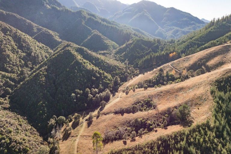 Photo of property in 168 Graham Valley Road, Motueka Valley, Motueka, 7196