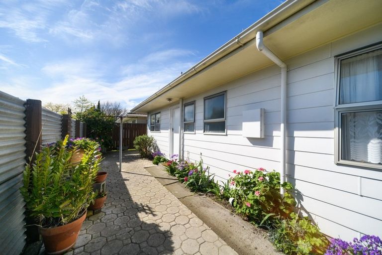 Photo of property in 633b Ferguson Street, Terrace End, Palmerston North, 4410