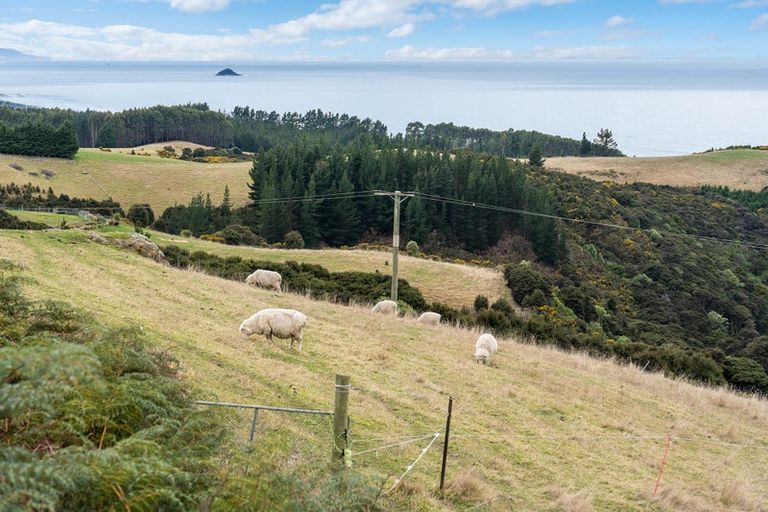 Photo of property in 229 Big Stone Road, Brighton, 9091