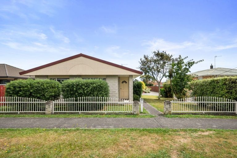 Photo of property in 65 Winchester Street, Levin, 5510