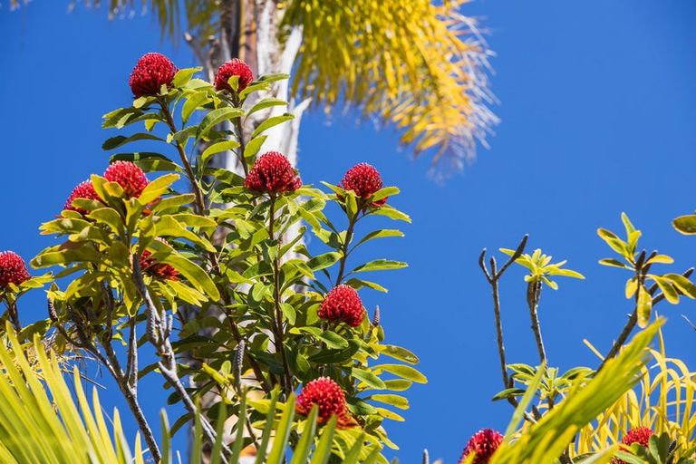 Photo of property in 61 Pinehurst Drive, Pauanui, Hikuai, 3579