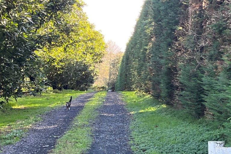 Photo of property in 150 Walford Road, Aongatete, Katikati, 3181