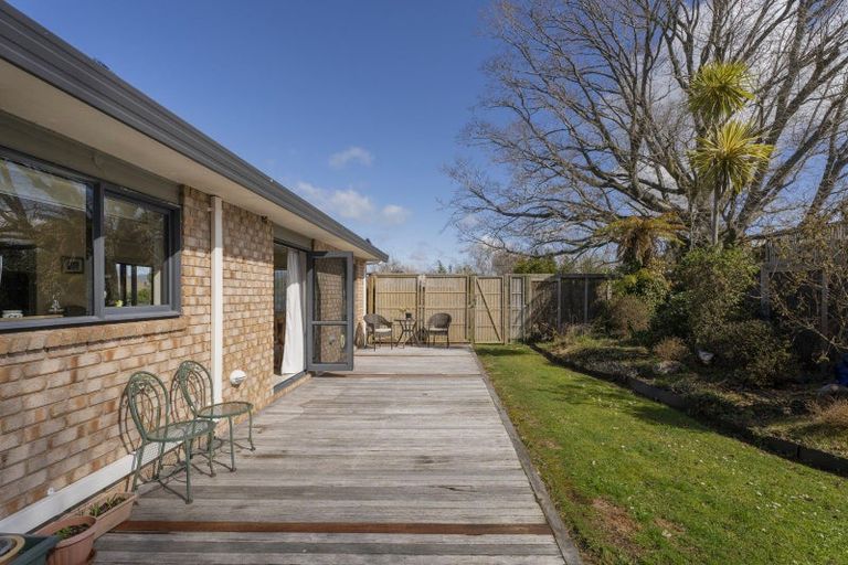 Photo of property in 17 George Street, Waihi, 3610