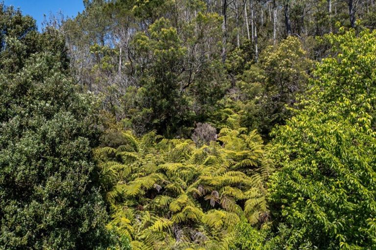 Photo of property in 8 Patricia Place, Hahei, Whitianga, 3591