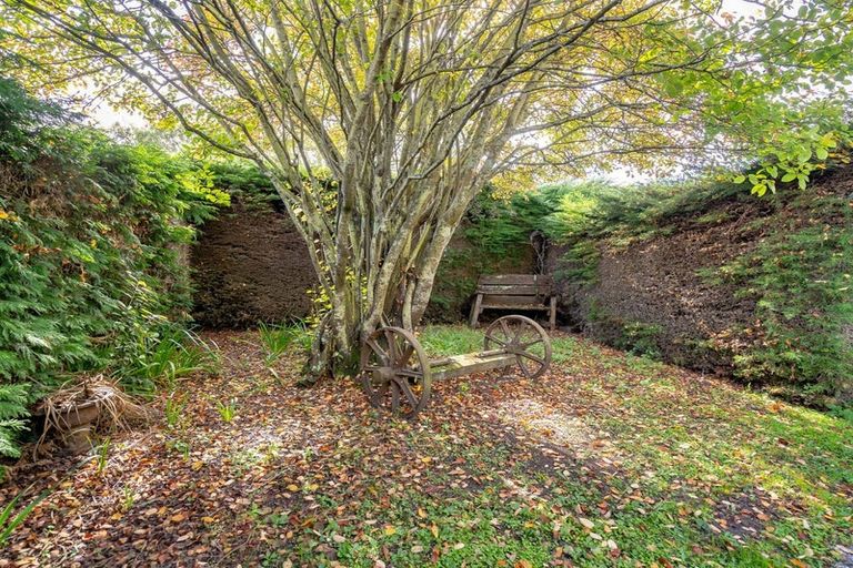 Photo of property in 64 Geelong Street, Waikouaiti, 9510