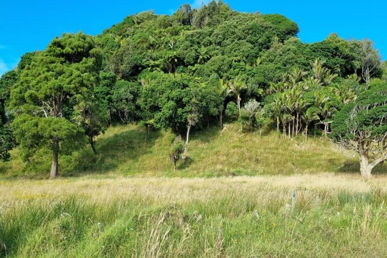 Photo of property in 125 Te Mahoe Road, Mokau, 4376