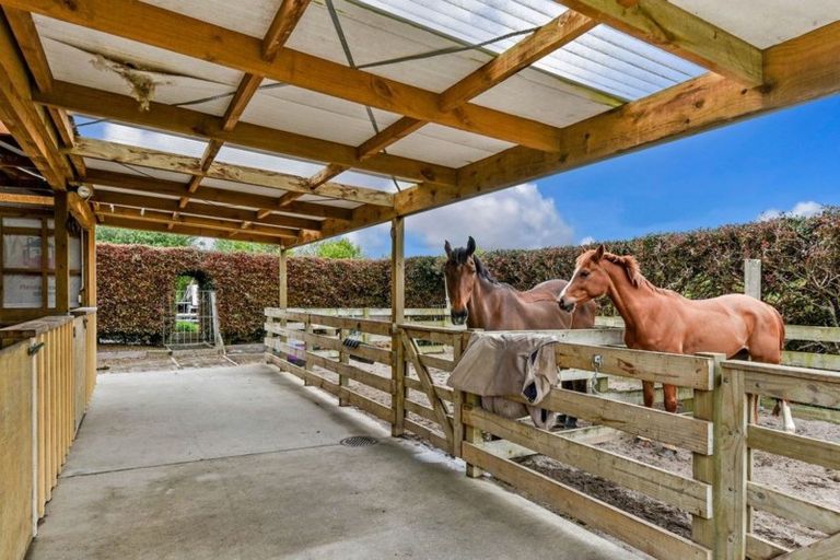 Photo of property in 41 Postman Road, Dairy Flat, Albany, 0794