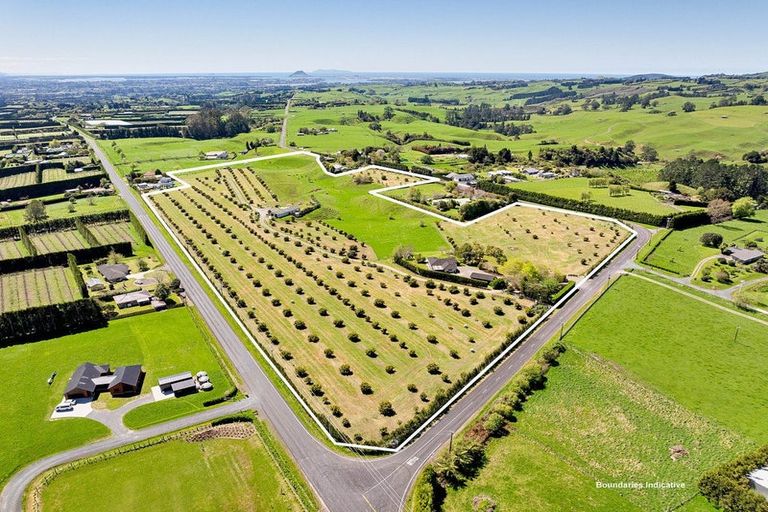 Photo of property in 390 Hereford Road, Oropi, Tauranga, 3173