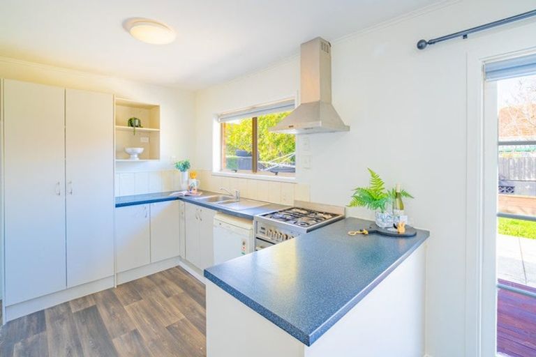 Photo of property in 58b Nixon Street, Hamilton East, Hamilton, 3216