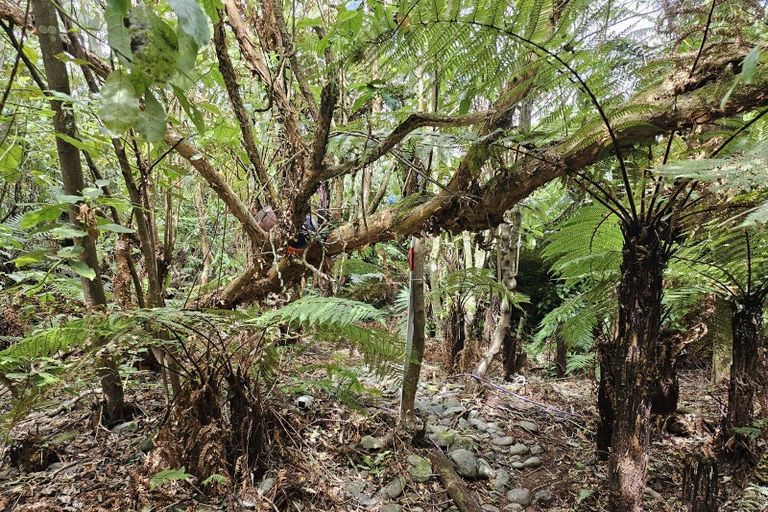 Photo of property in 122b Rutherglen Road, Rutherglen, Greymouth, 7805