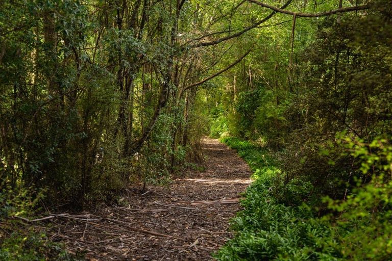 Photo of property in 30 Ruru Avenue, Saint Leonards, Dunedin, 9022