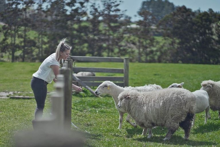 Photo of property in 320 Ireland Road, Waitoki, Kaukapakapa, 0871