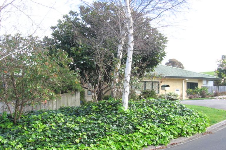 Photo of property in 19 Norwich Place, Bethlehem, Tauranga, 3110