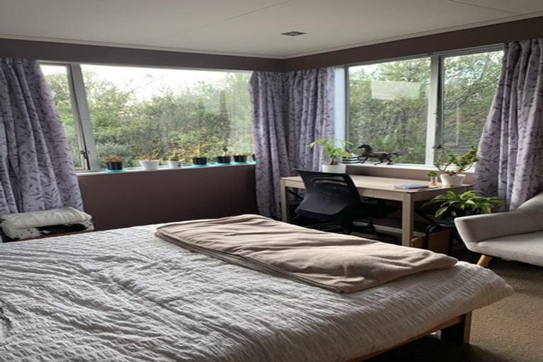 Photo of property in 43 Dittmer Drive, Awapuni, Palmerston North, 4412