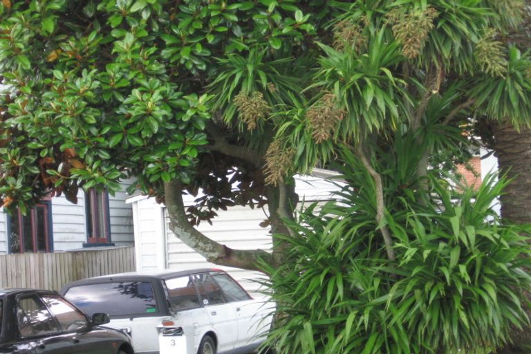 Photo of property in 3 Newcastle Terrace, Mount Albert, Auckland, 1025