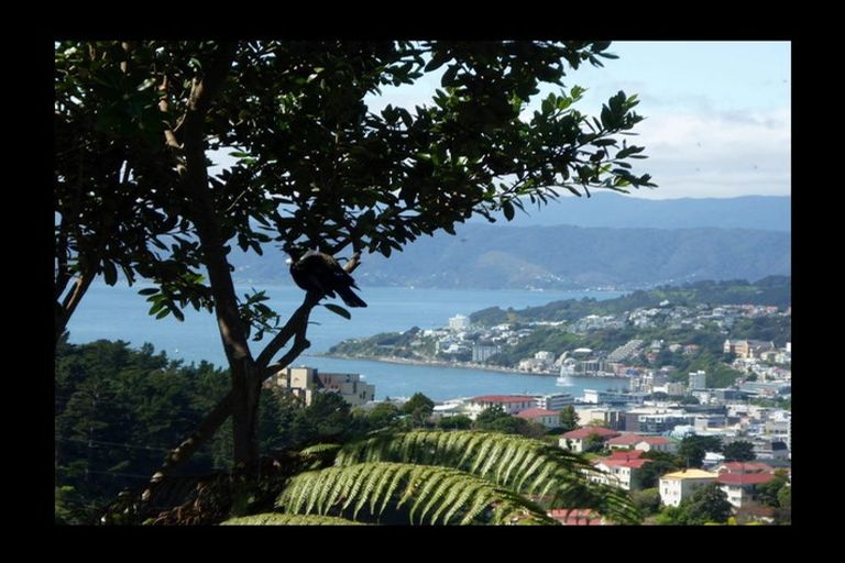 Photo of property in 23 Koromiko Road, Aro Valley, Wellington, 6012