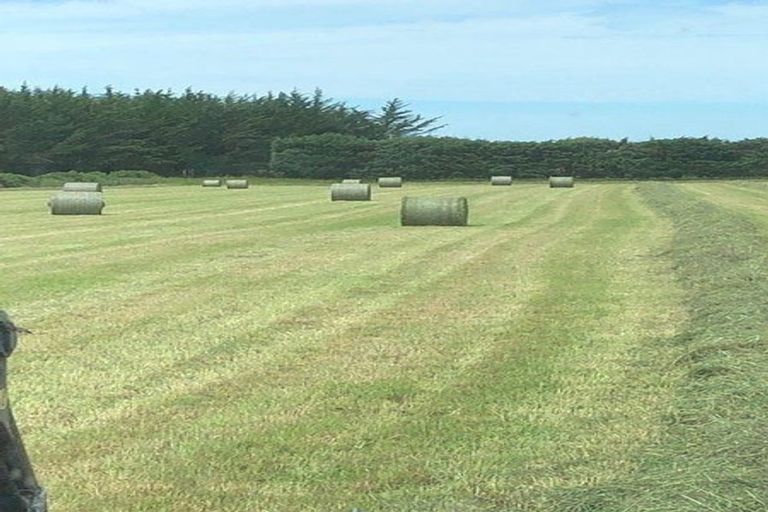 Photo of property in 410 Harmans Gorge Road, View Hill, Oxford, 7495