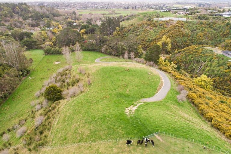 Photo of property in 248 Polson Hill Drive, Aokautere, 4471