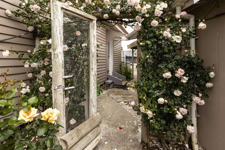 Photo of property in 196 Maxwell Road, Redwoodtown, Blenheim, 7201